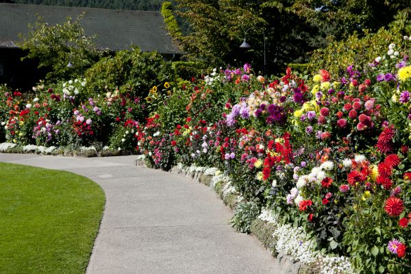 Concrete Path Repair