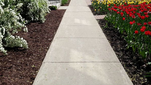 Cost of Sidewalk Slab Replacement in Edmond