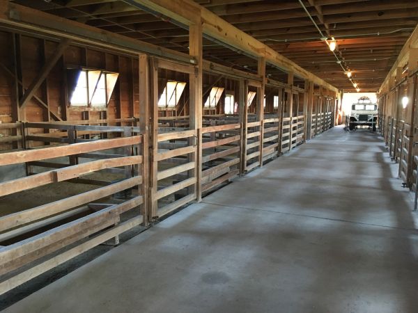 Barn Floor Pouring